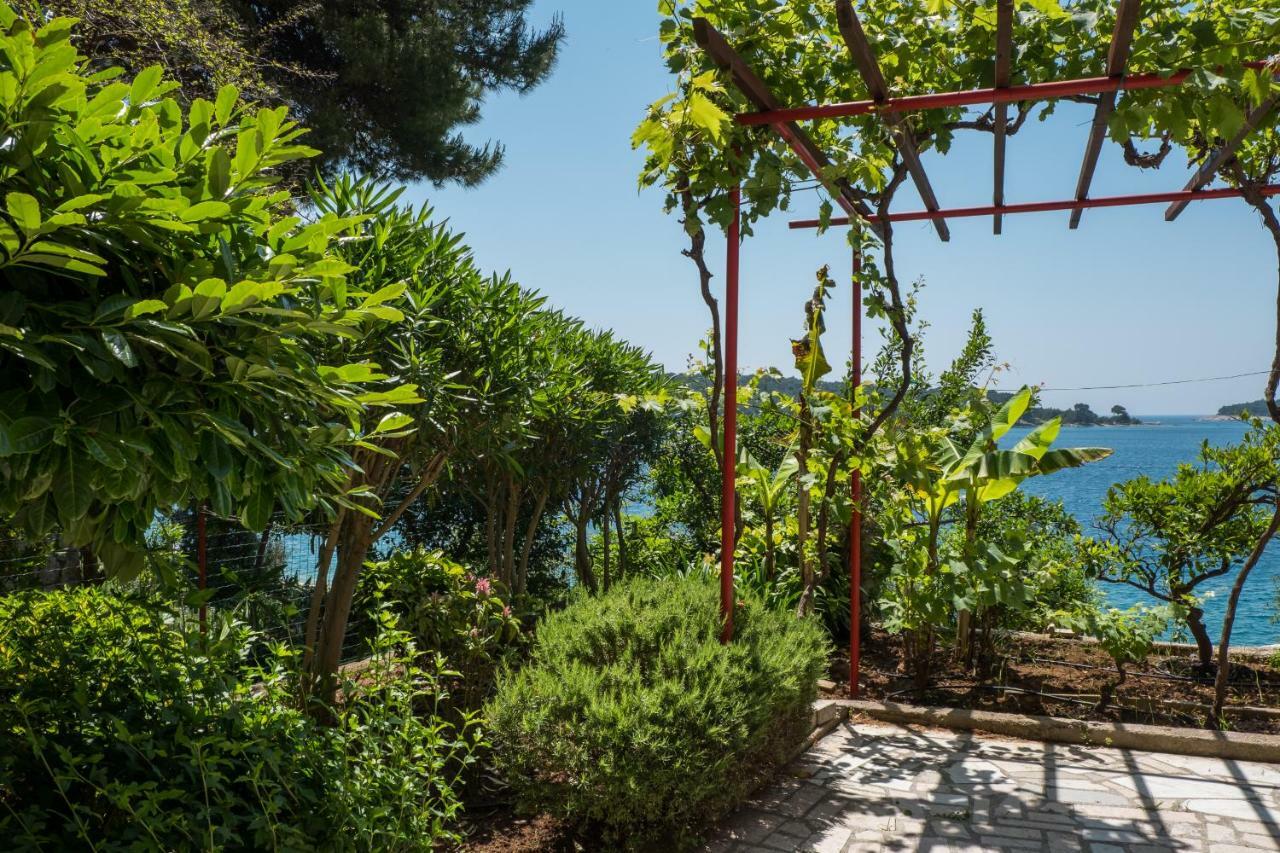 Villa Magnolia Мали-Лошинь Экстерьер фото